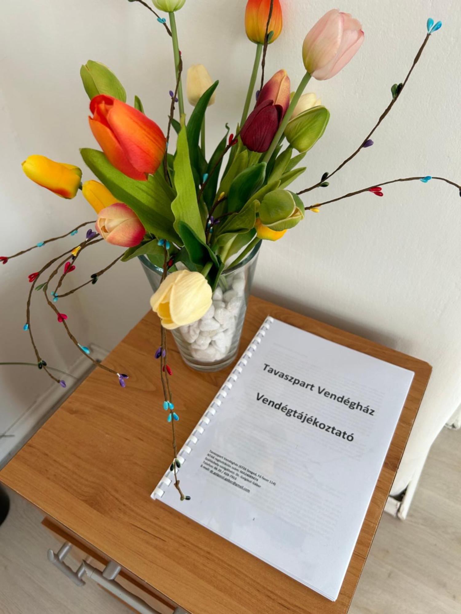 Apartament Tavaszpart Vendeghaz Segedyn Zewnętrze zdjęcie